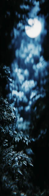 Free aesthetic bookmark featuring a werewolf night scene